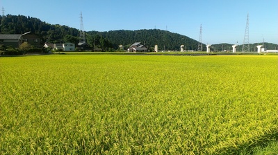 2012-08-21 08.13.58.jpg